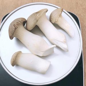 King Oyster Mushroom